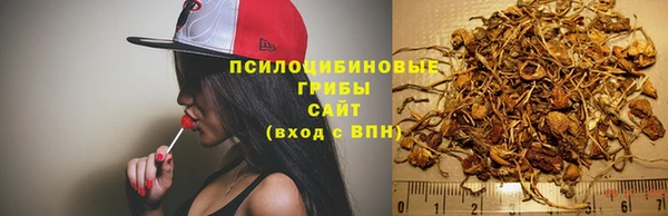 спайс Алексин