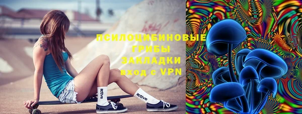 спайс Алексин
