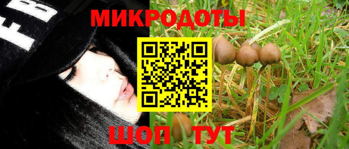 Йошкар-Ола  Галлюциногенные грибы Psilocybine cubensis  закладка  Вход с VPN 