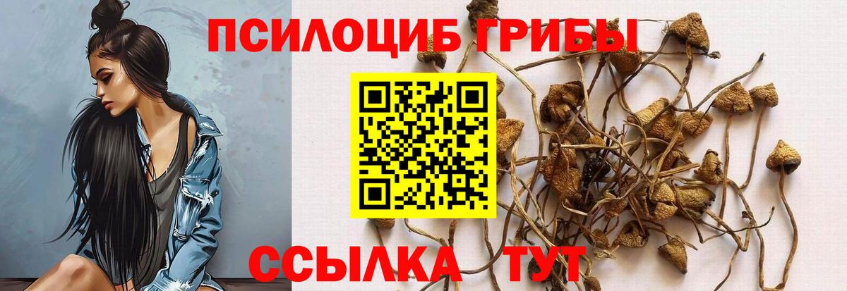 Галлюциногенные грибы Magic Shrooms Йошкар-Ола